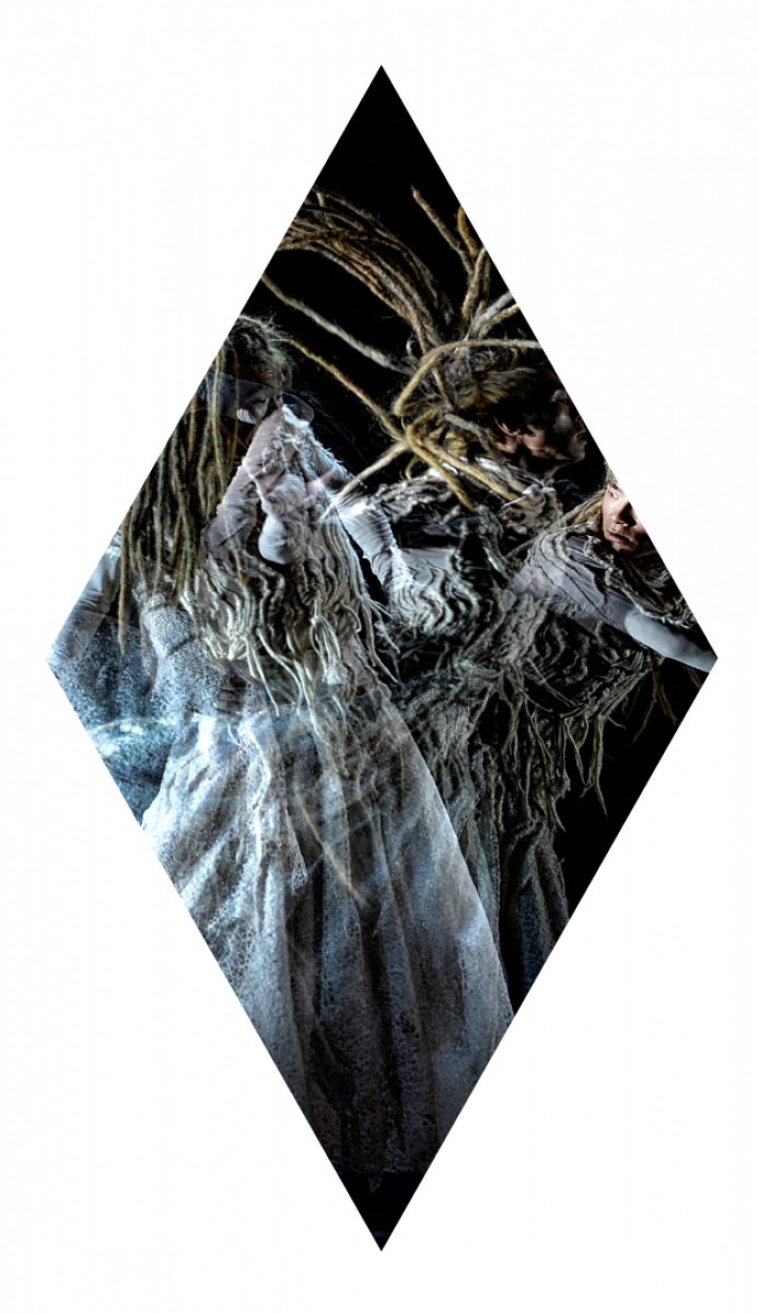 achterkant nov 2017_315